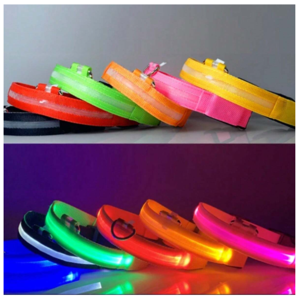 Collar Luminoso LED Recargable